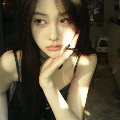 刘墉追案
